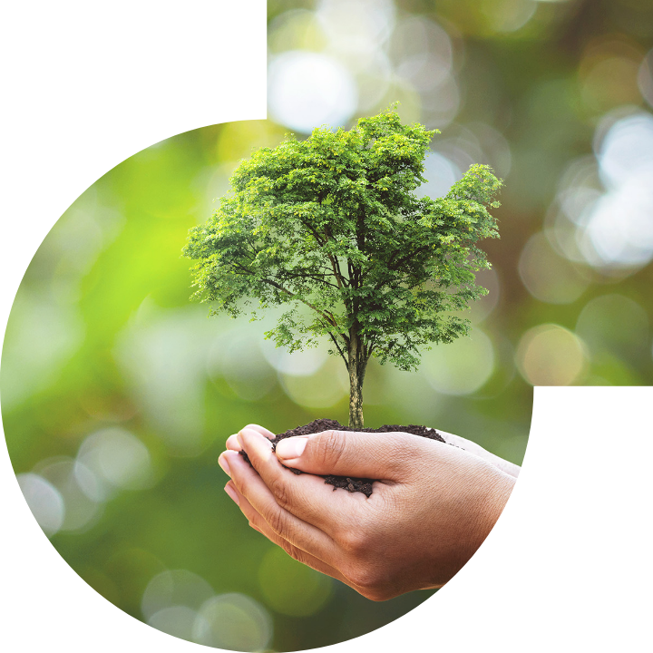 关怀人类、文化、环境与社会